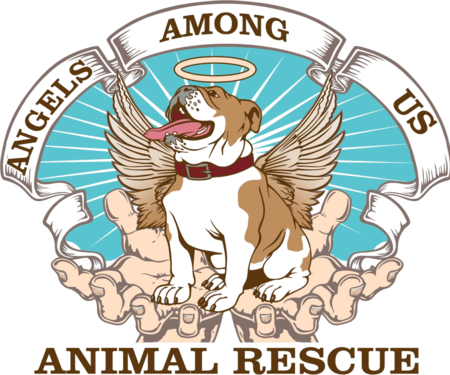 Animal Rescue, New England | Angels Among Us Animal Rescue